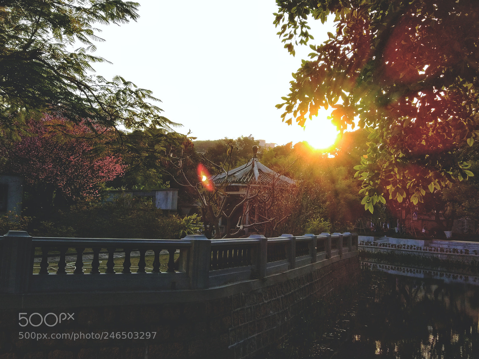 Xiaomi MI 5 sample photo. Untitled photography