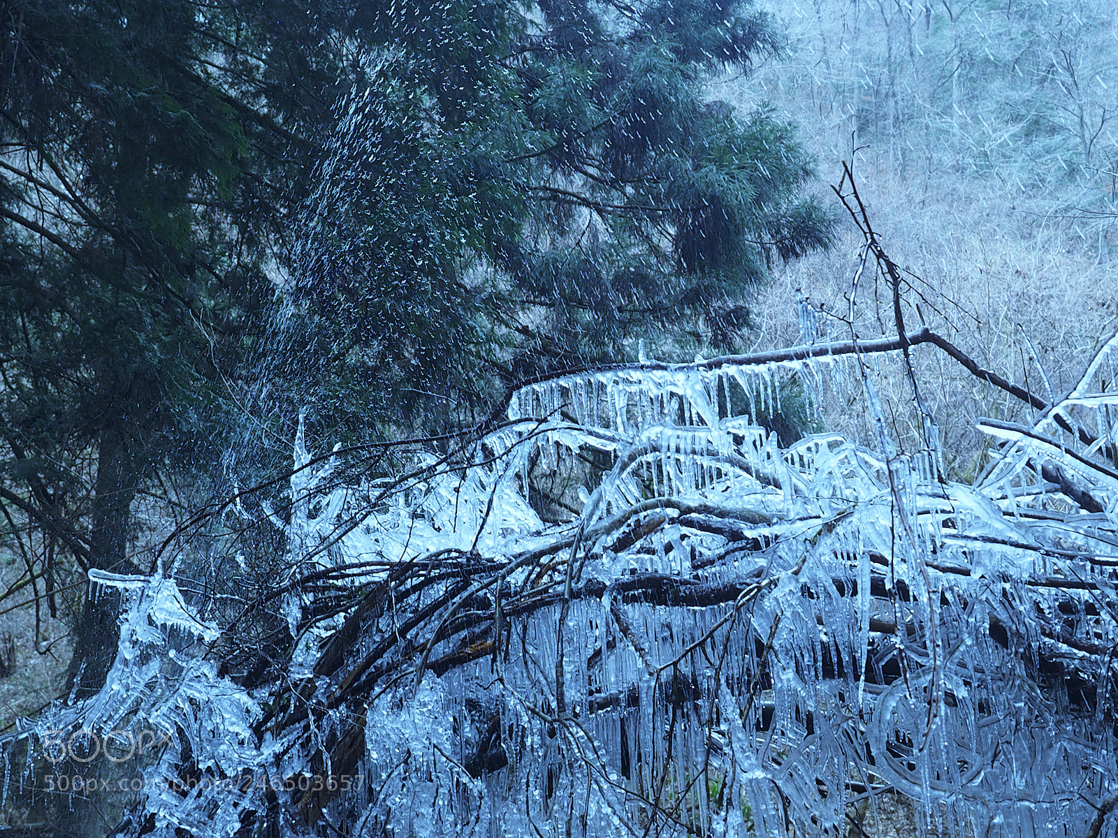 Olympus OM-D E-M1 sample photo. Ice art photography