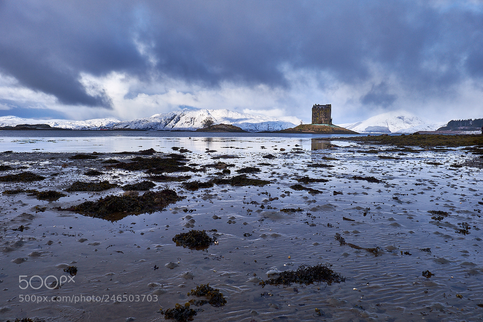 Fujifilm X-T1 sample photo. Castle stalker, highlands photography