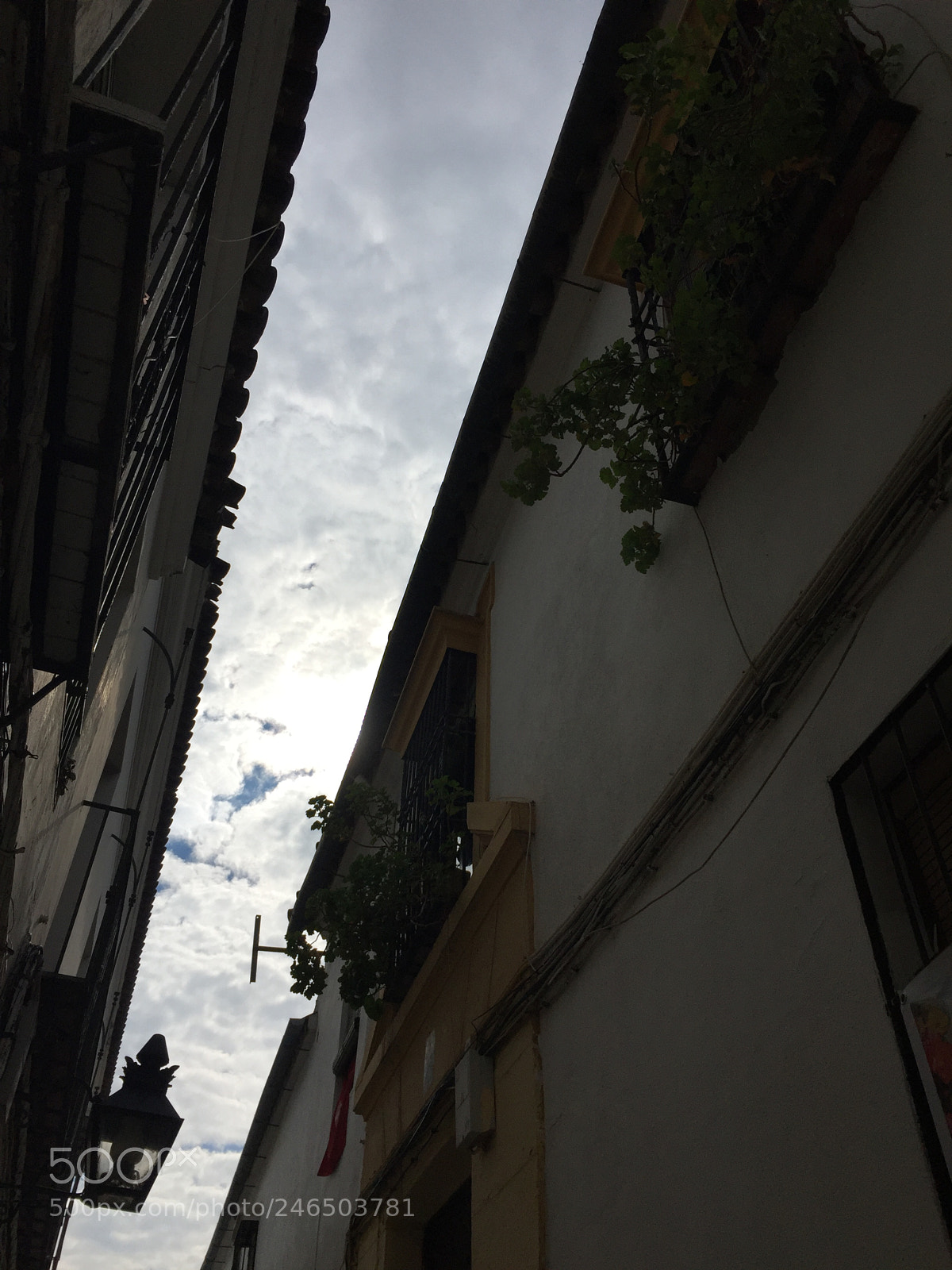 Apple iPhone 6 sample photo. Untitled photography