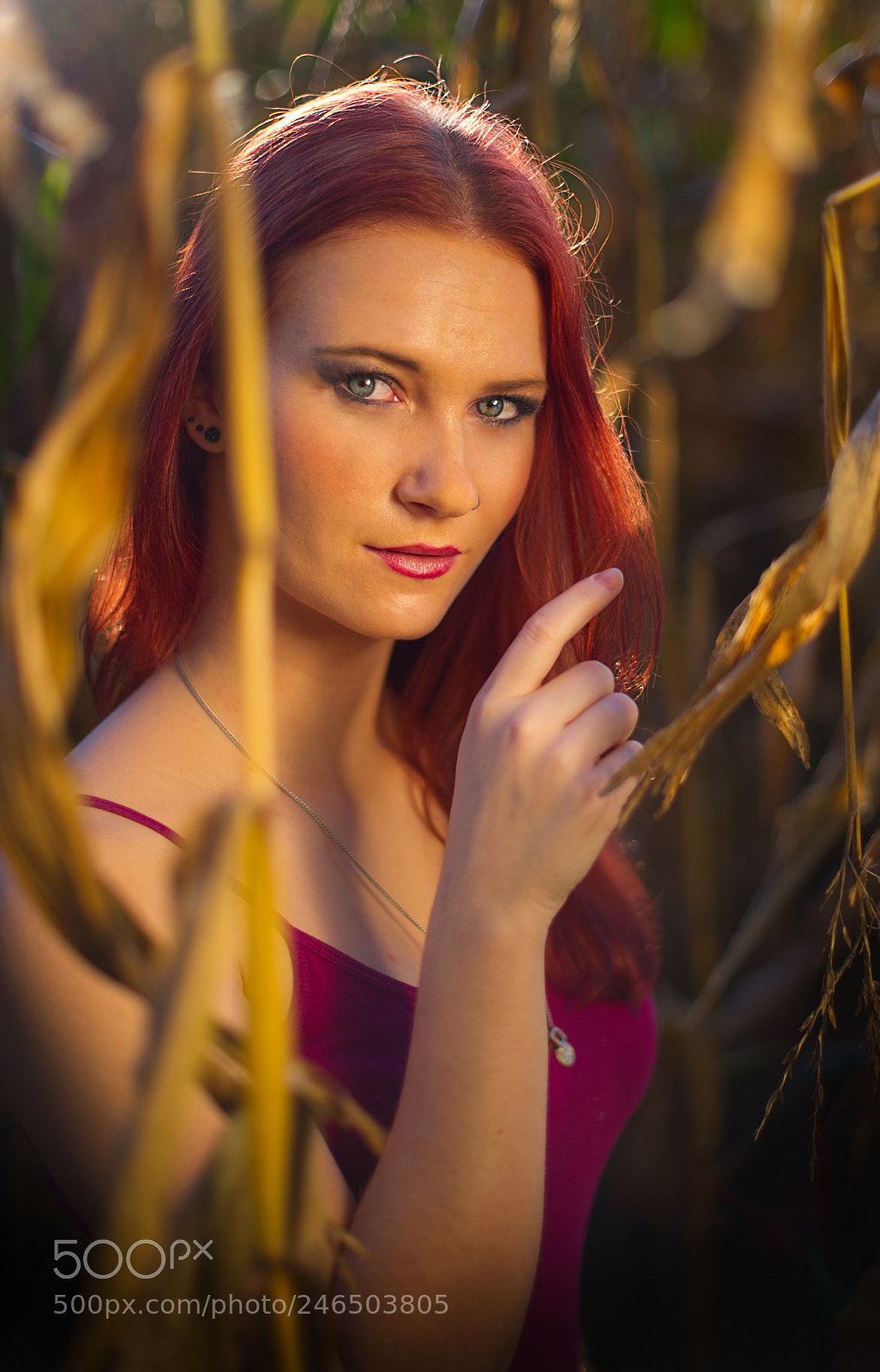 Nikon D3S sample photo. Untitled photography