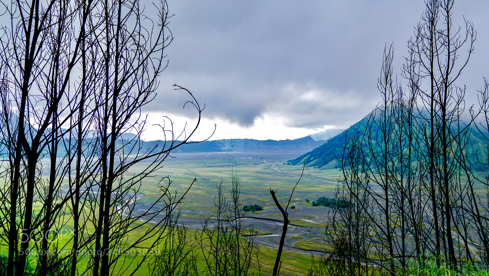 Sony a7R II sample photo. Untitled photography