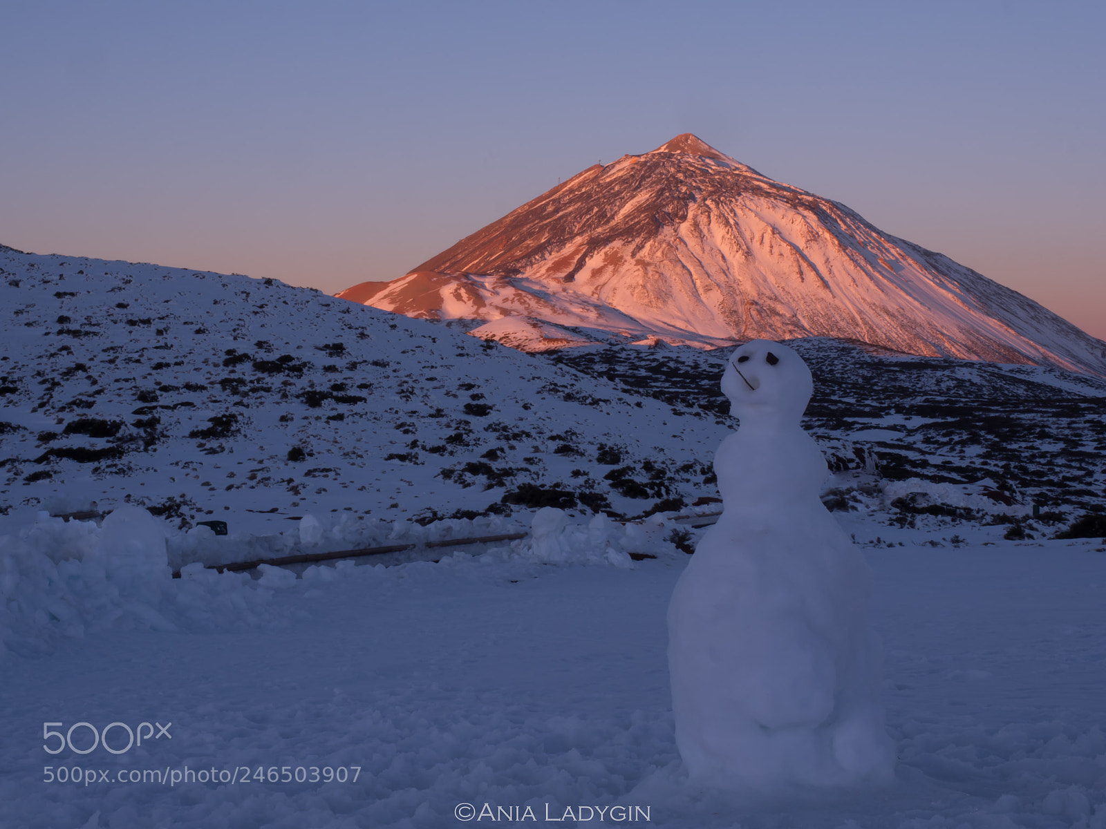 Olympus OM-D E-M5 II sample photo. Happy snowman photography