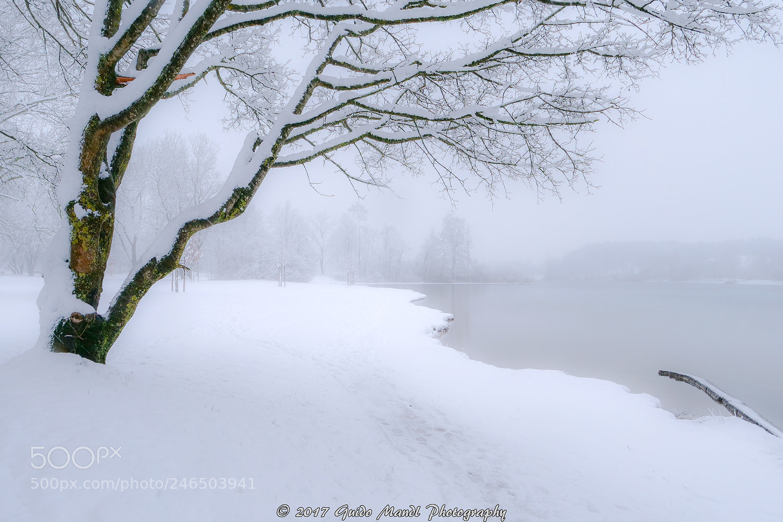 Panasonic Lumix DC-G9 sample photo. Winter arrived photography