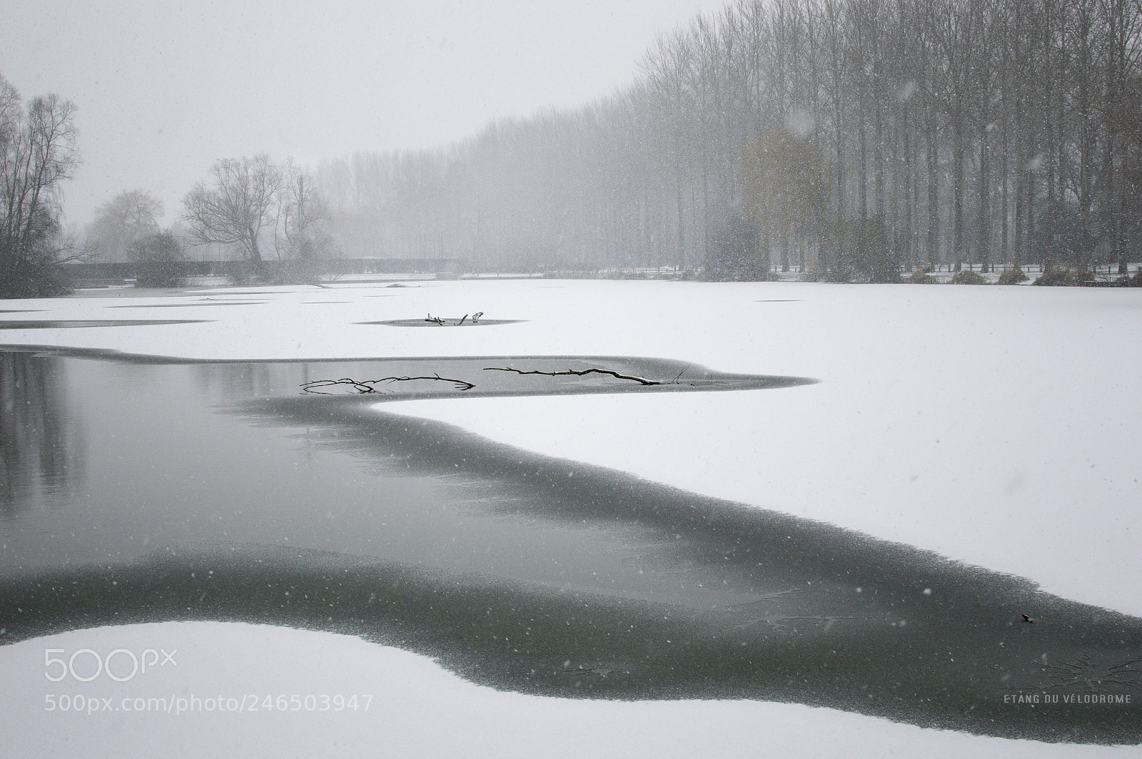 Nikon D3200 sample photo. Etang du v lodrome photography