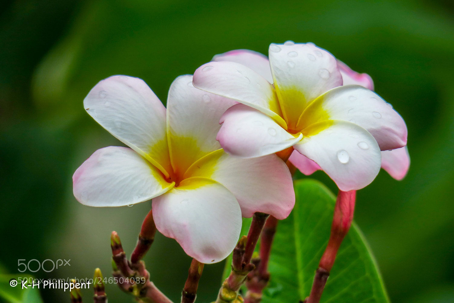 Canon PowerShot G3 X sample photo. Singapur republic of singapore photography