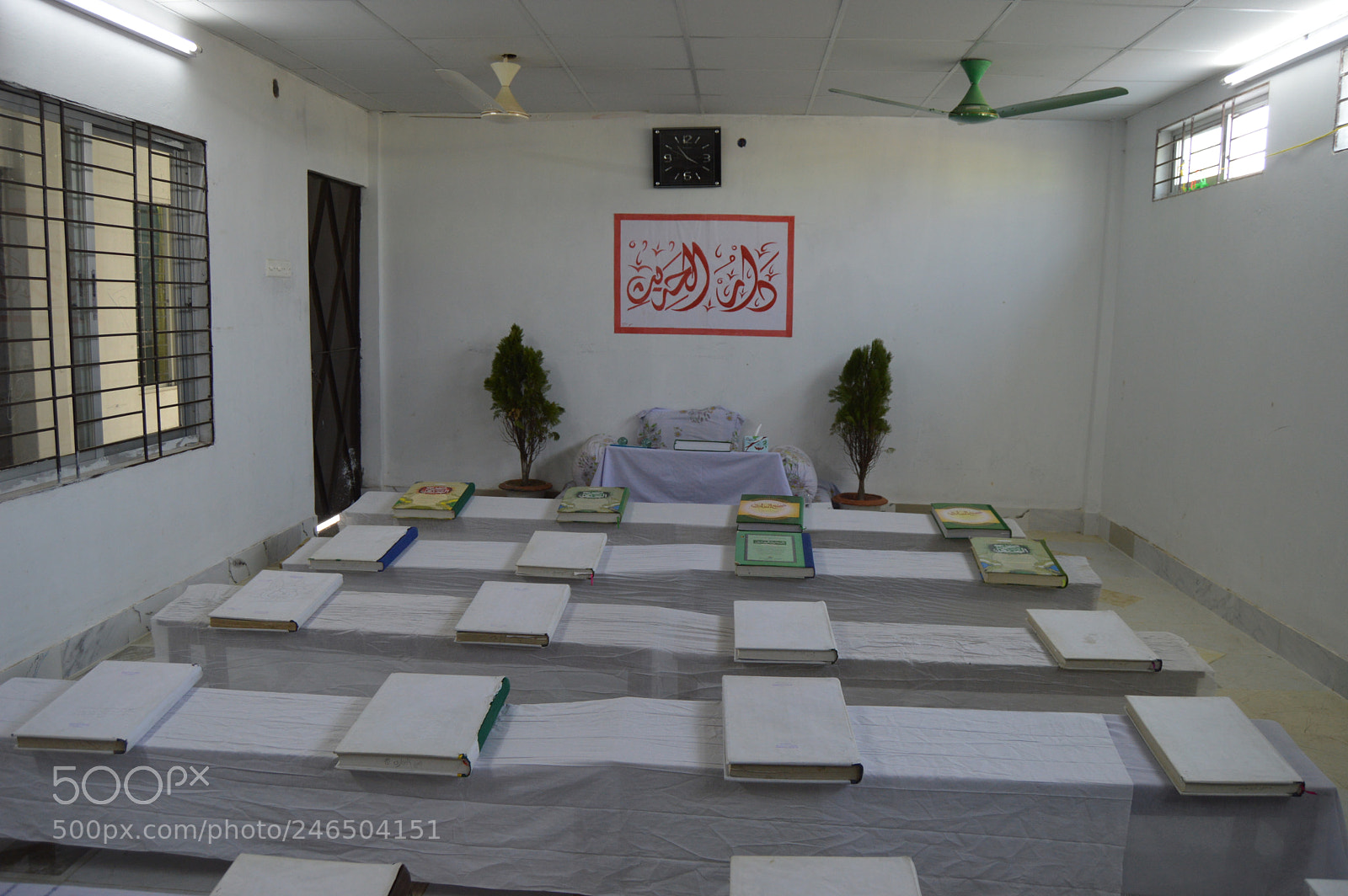 Nikon D3200 sample photo. Untitled photography