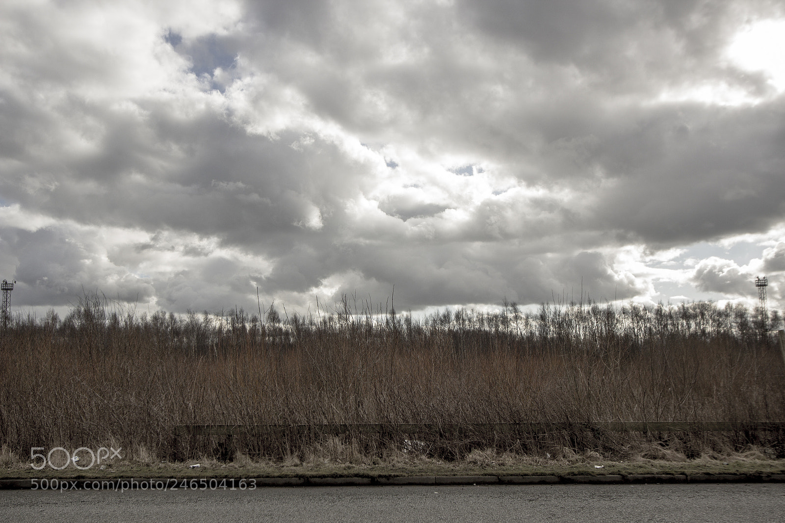 Canon EOS 600D (Rebel EOS T3i / EOS Kiss X5) sample photo. The winder is coming! photography