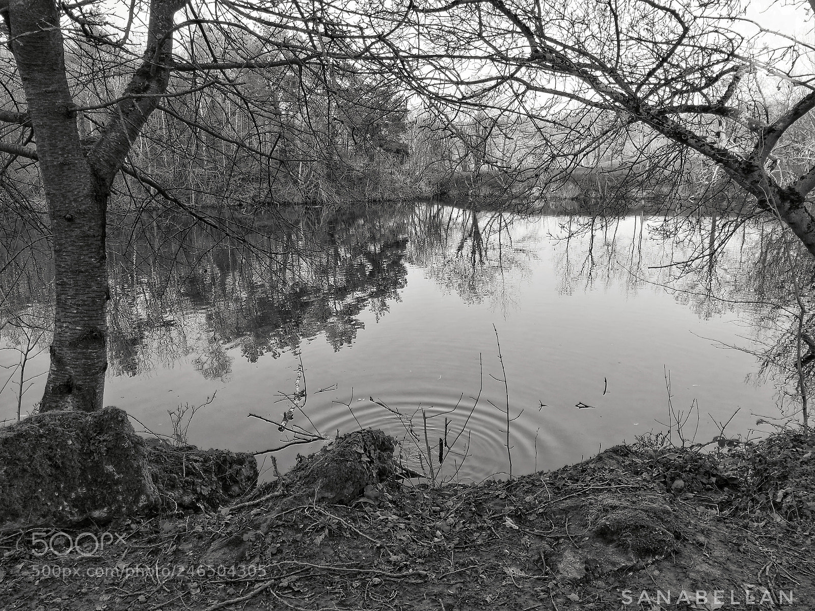 HUAWEI Honor 9 sample photo. Au bord de l'eau photography