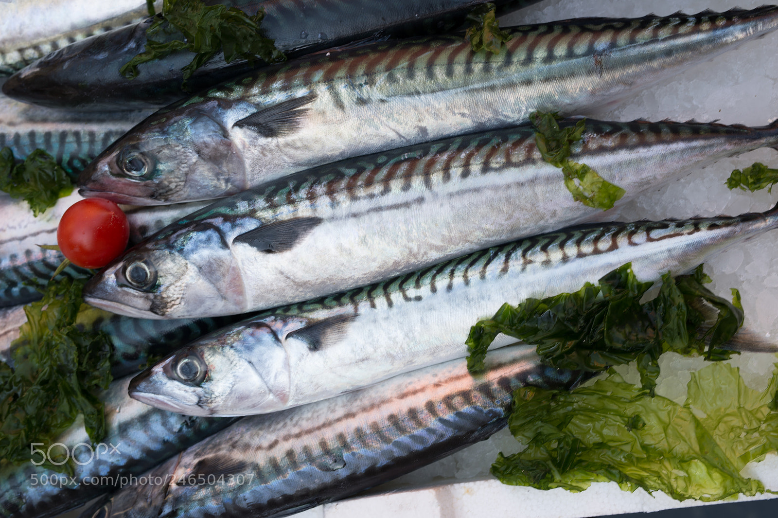 Nikon Df sample photo. Mackerels exposed in market photography