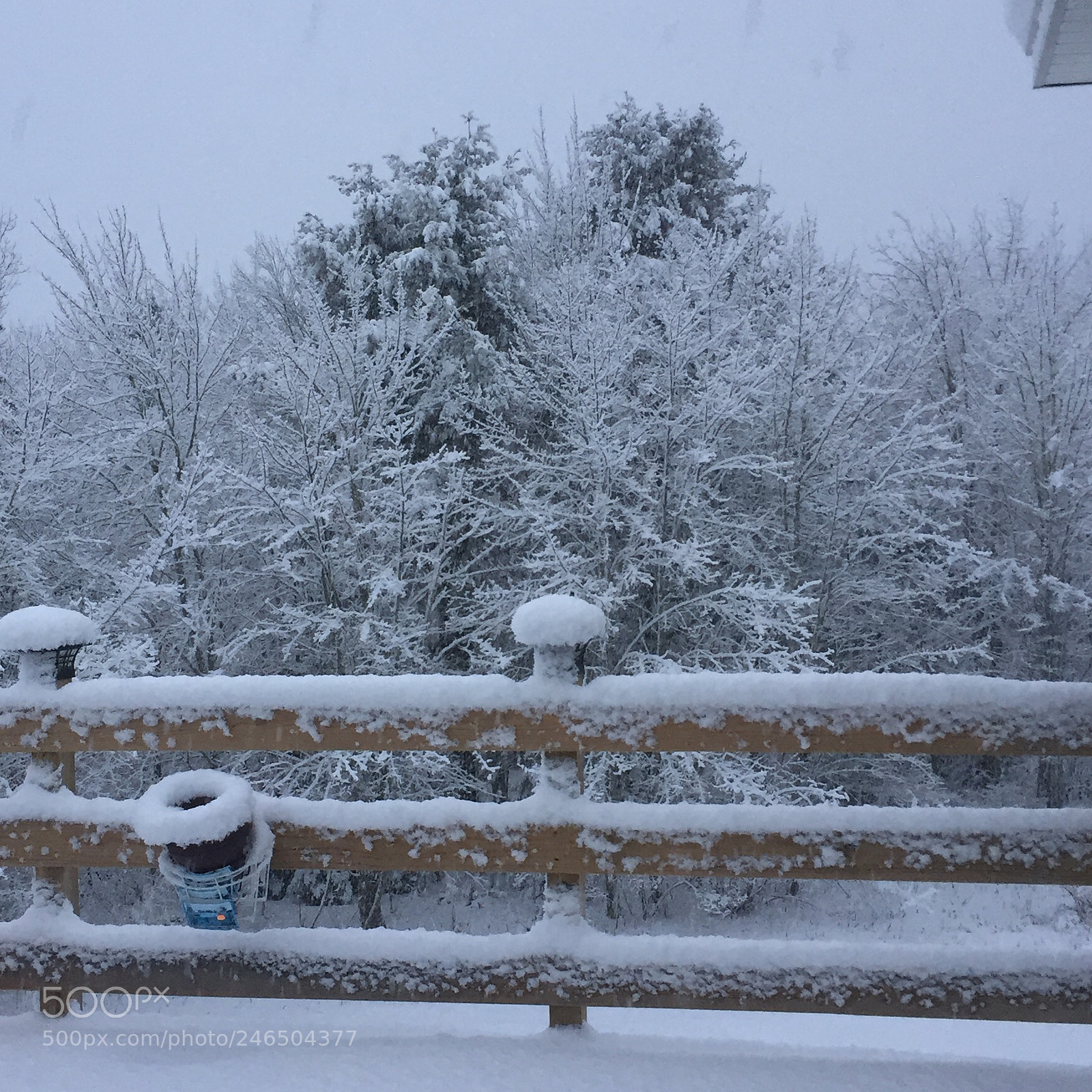 Apple iPhone 6 sample photo. Pretty snow in maine photography