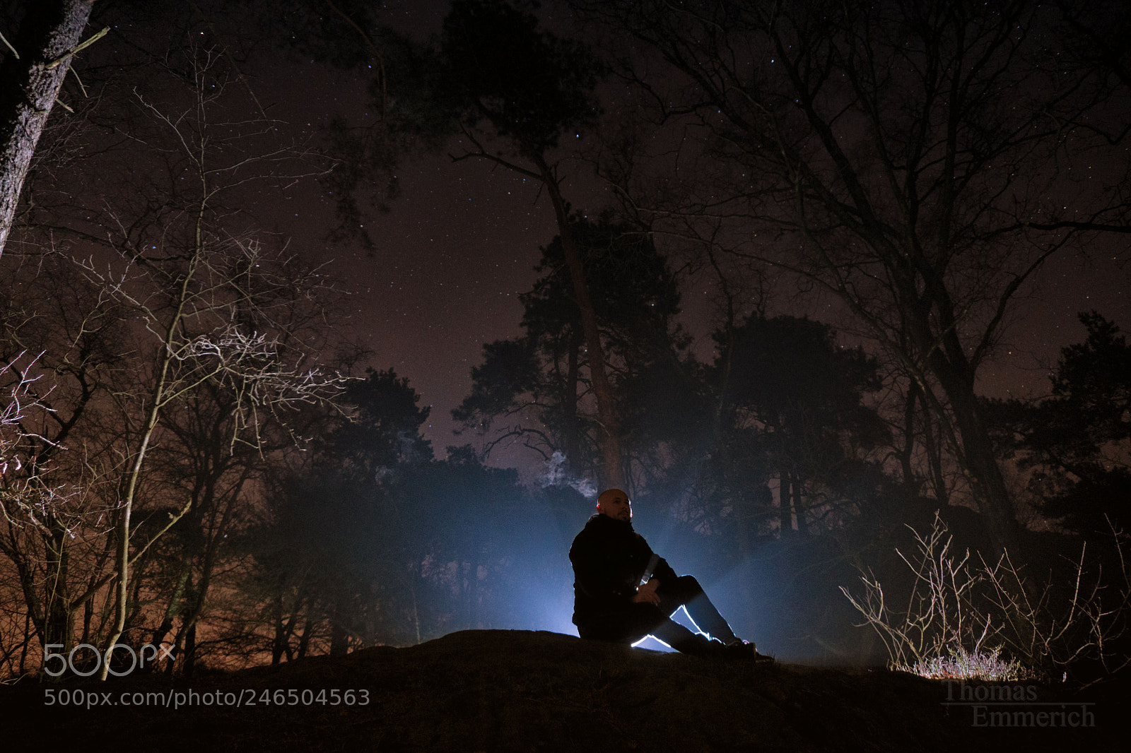 Sony a6500 sample photo. Alone in the forest photography