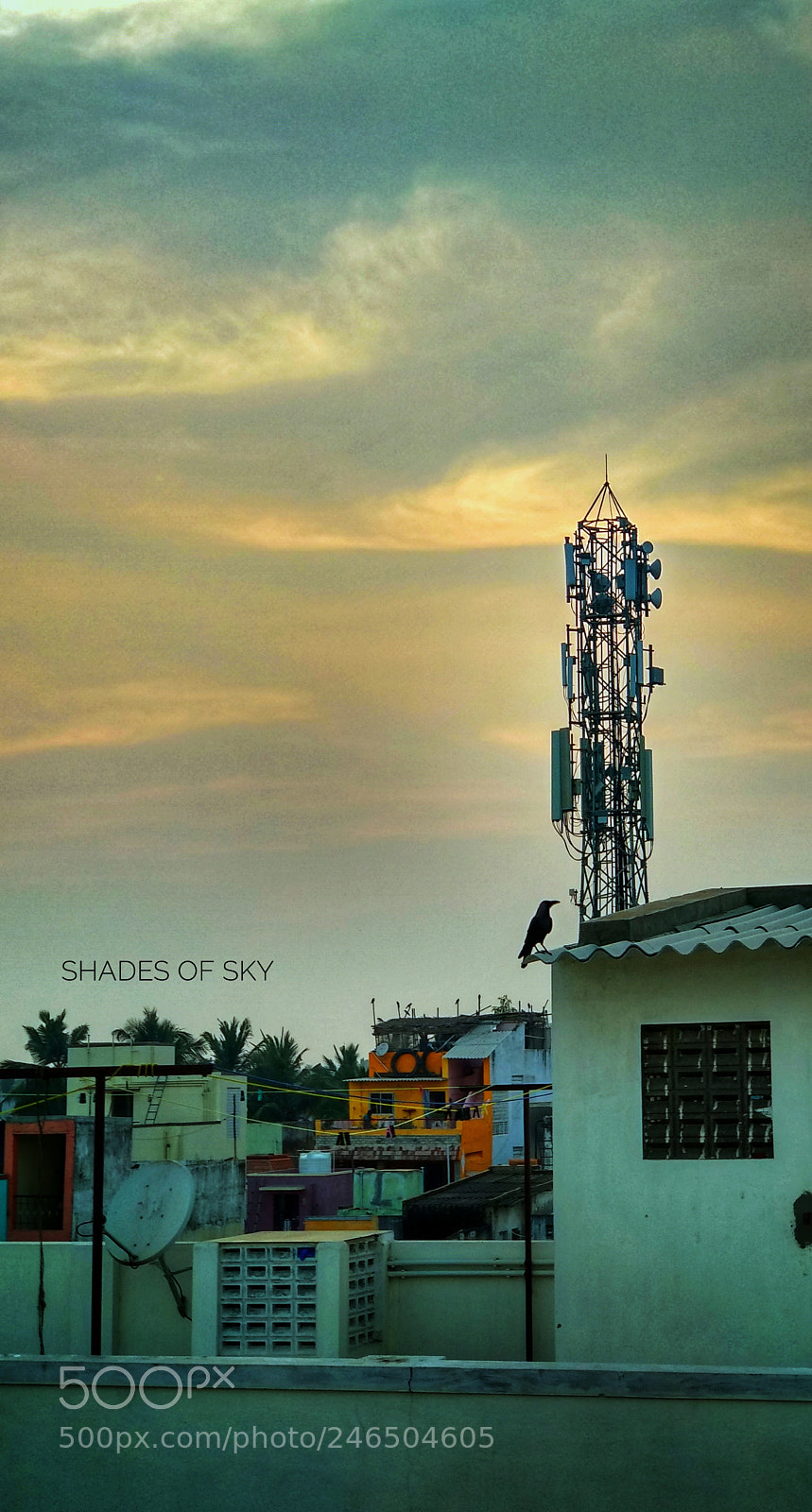 Xiaomi Mi A1 sample photo. Untitled photography