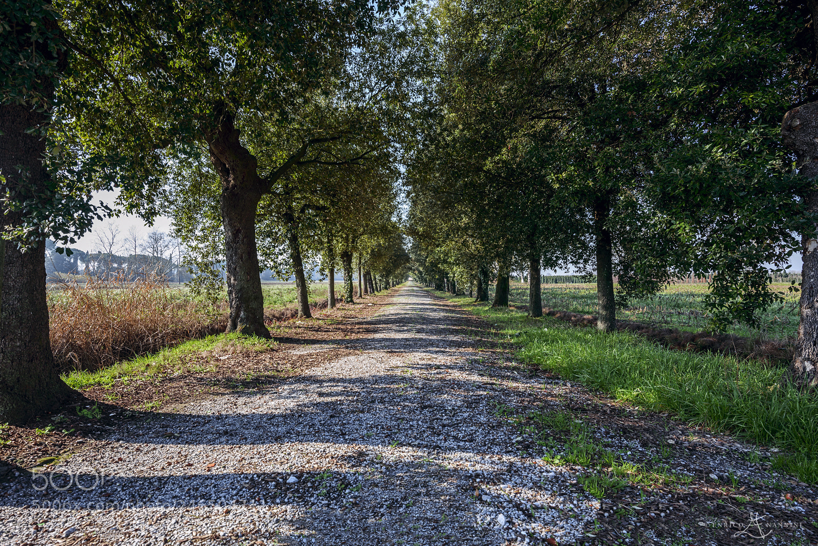 Nikon D810 sample photo. Castelmartini pistoia villa banchieri photography