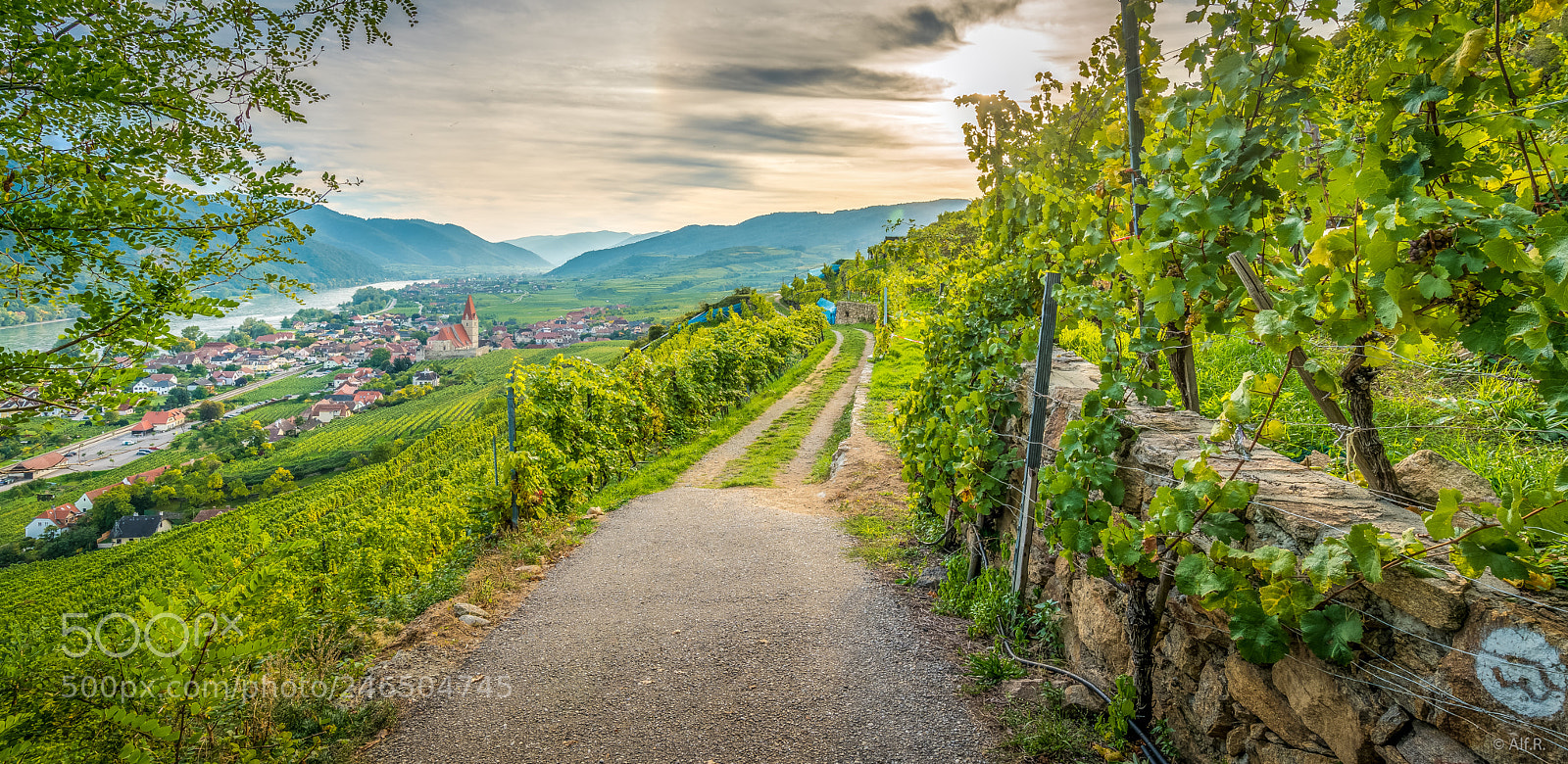 Sony a7R II sample photo. This is the wachau photography