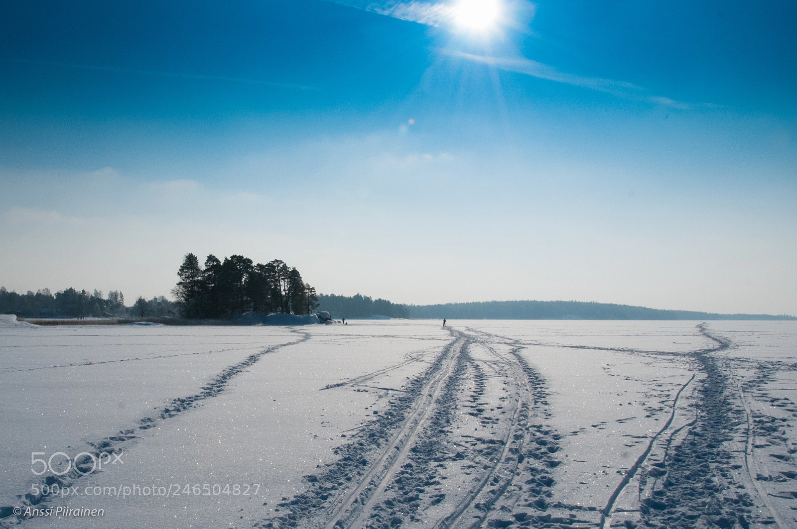 Nikon D300S sample photo. Bluebird day photography