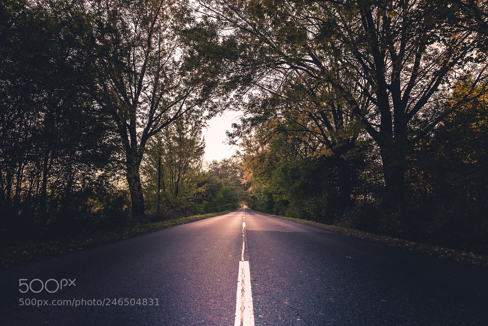 Nikon D610 sample photo. Unknown path... photography