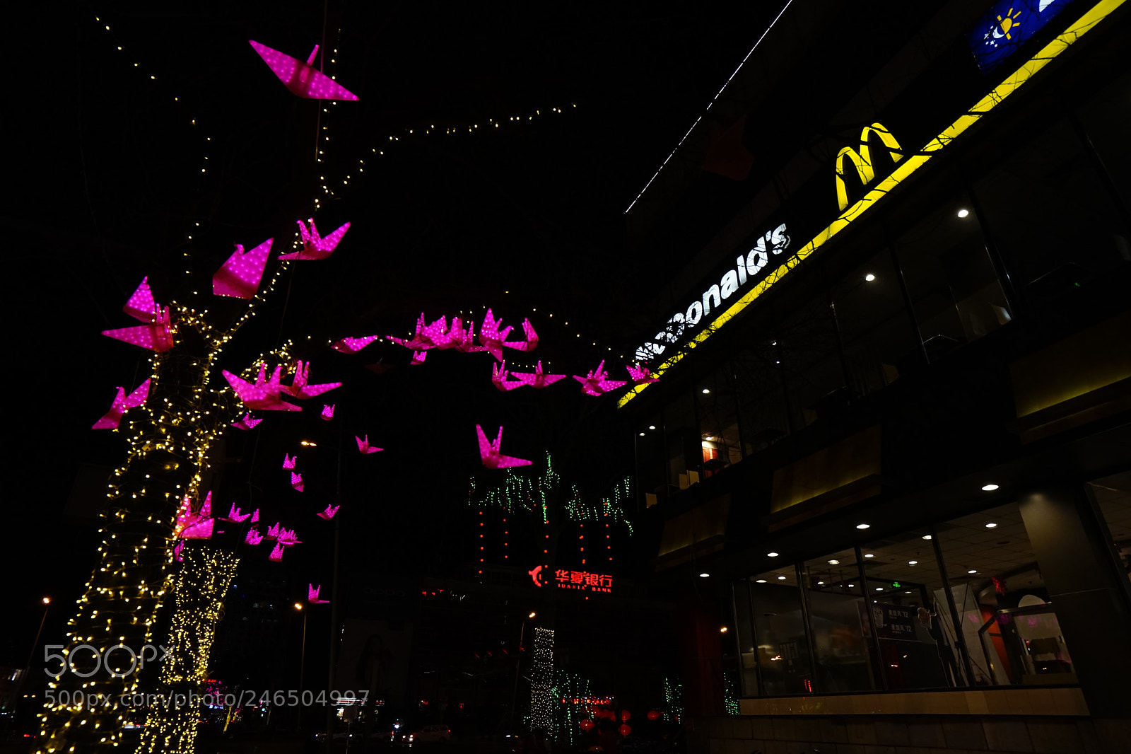 Sony a7 II sample photo. 夜色下的金拱门 photography