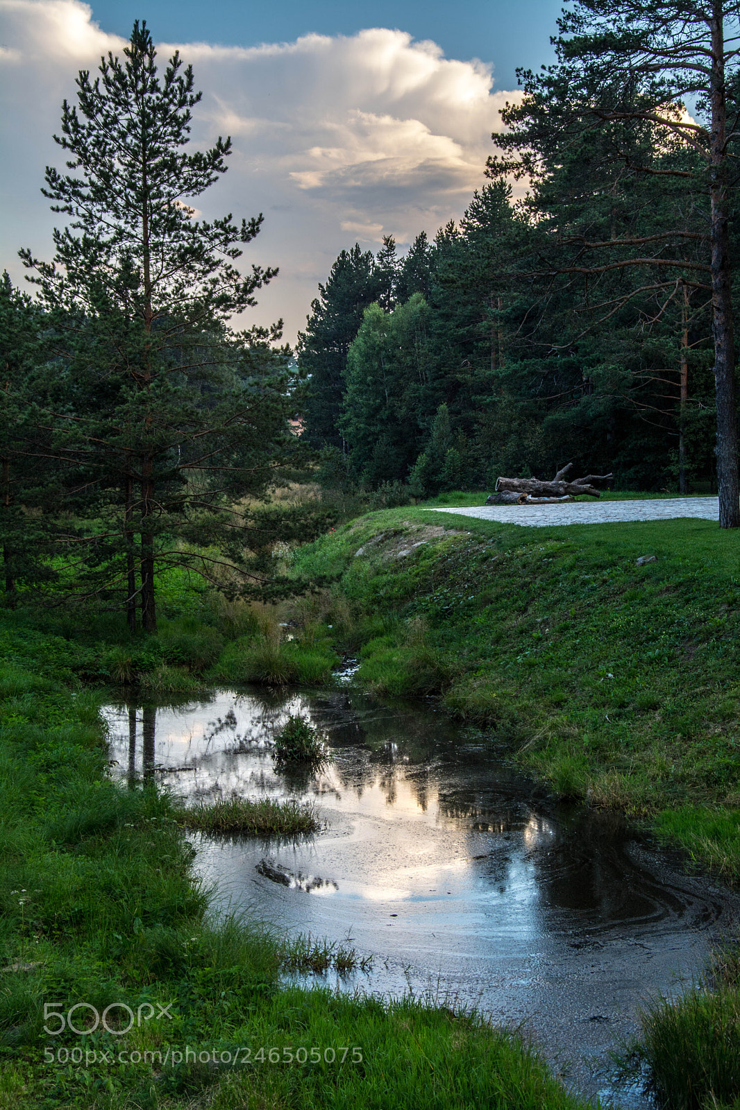 Nikon D7100 sample photo. Mountain river photography