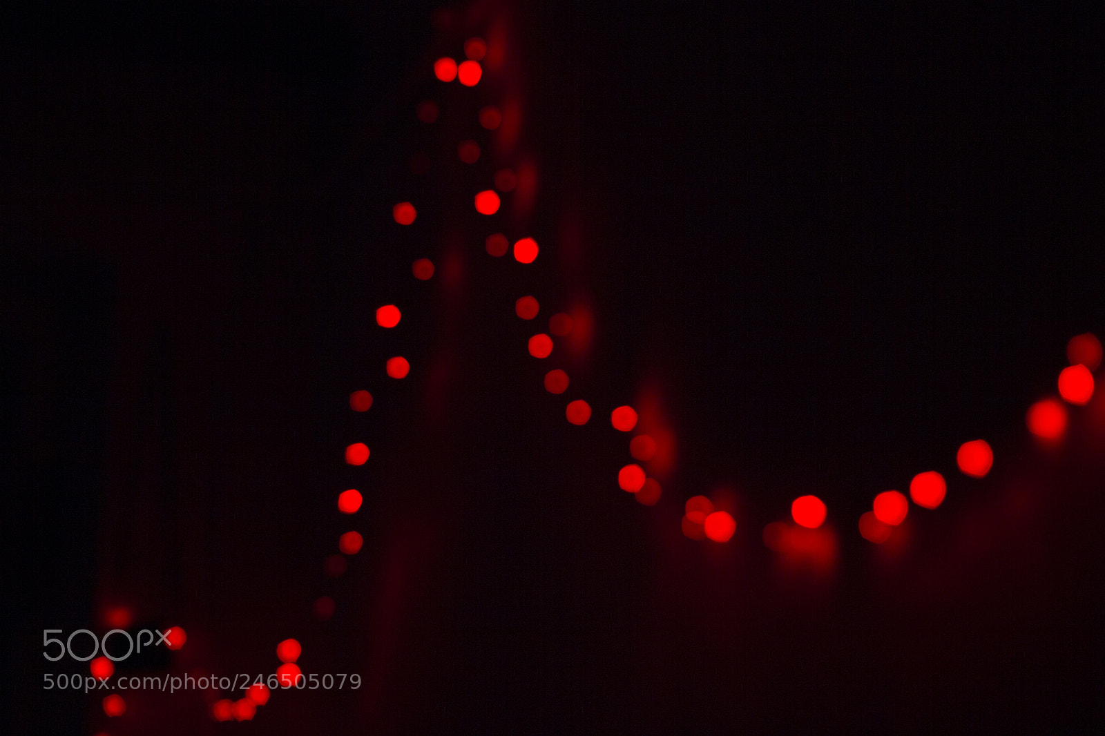 Canon EOS 60D sample photo. Untitled photography