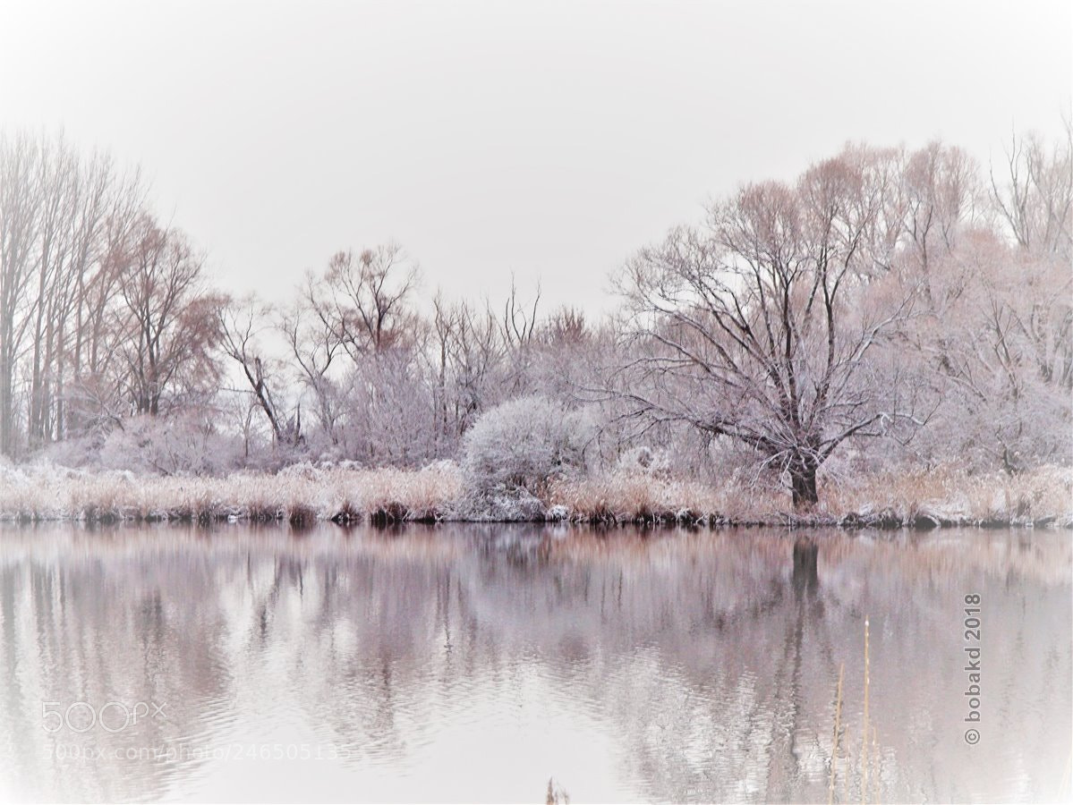 Olympus E-620 (EVOLT E-620) sample photo. Lake shore photography