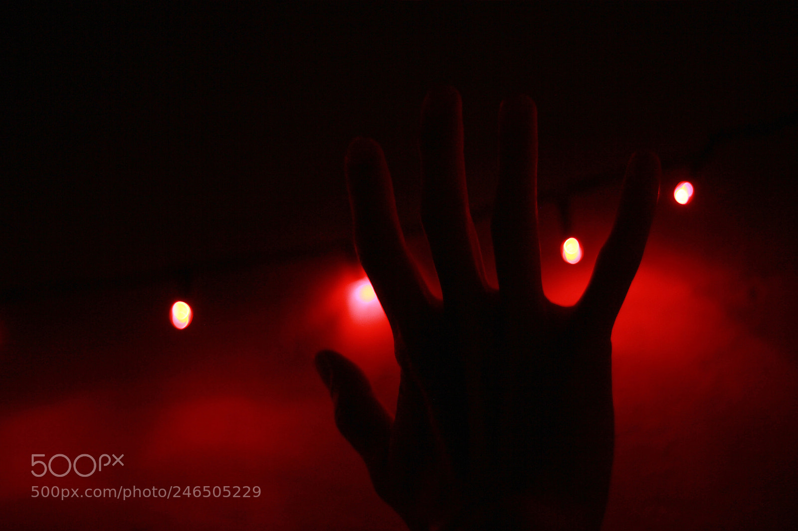 Canon EOS 60D sample photo. Untitled photography