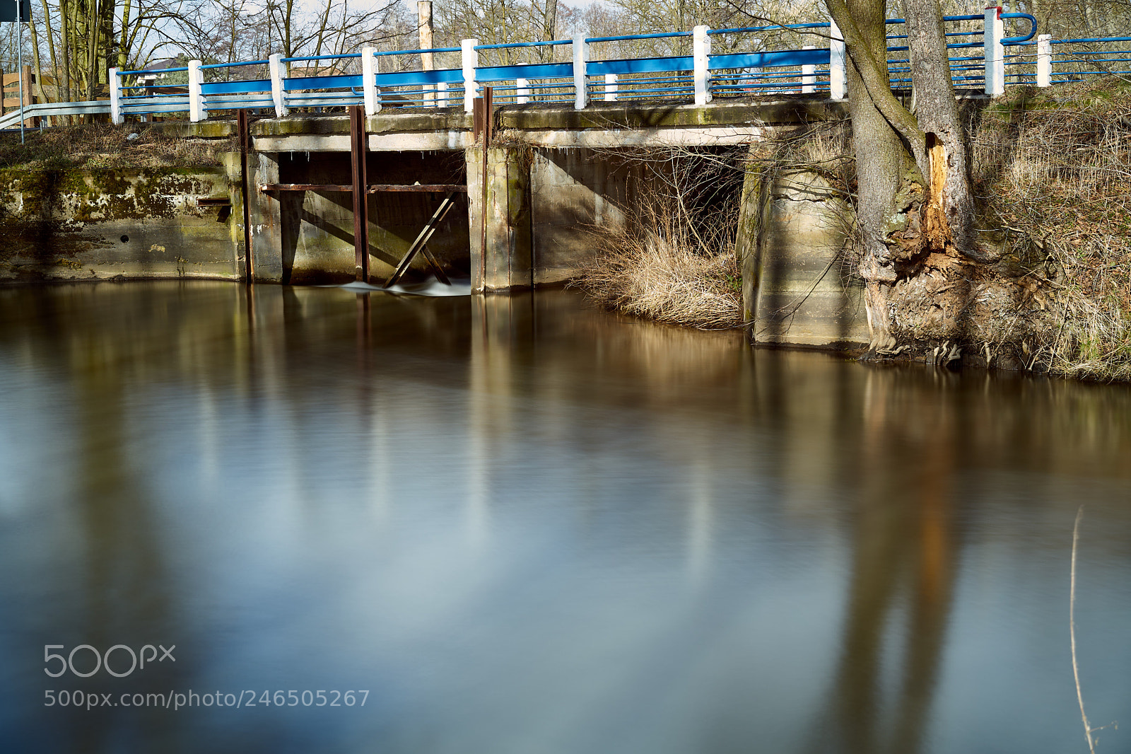 Sony a7 II sample photo. Rawka photography