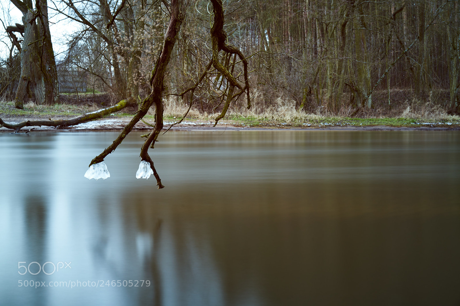 Sony a7 II sample photo. Rawka photography