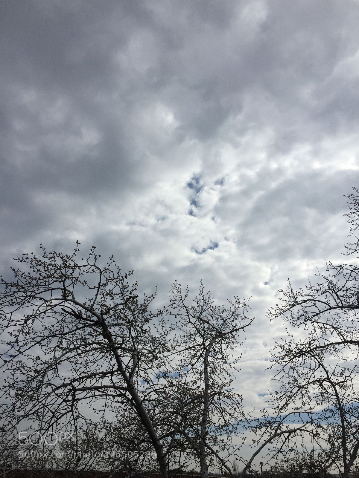 Apple iPhone 6 sample photo. Untitled photography