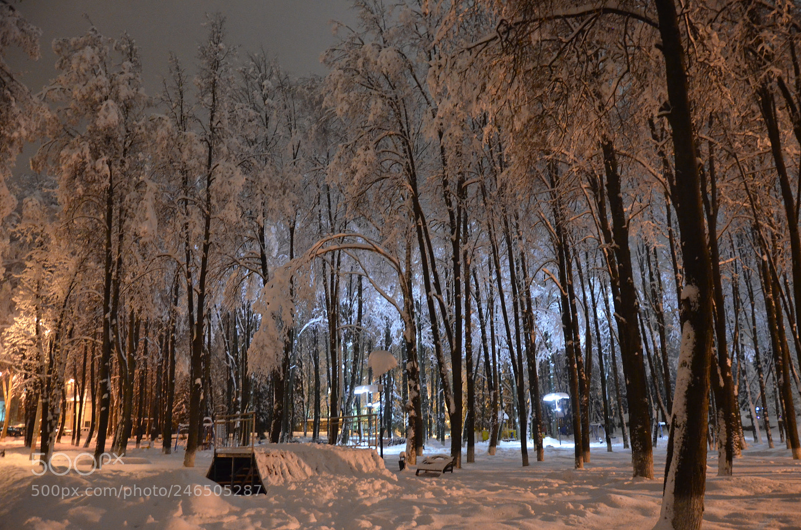 Nikon D5100 sample photo. Park photography