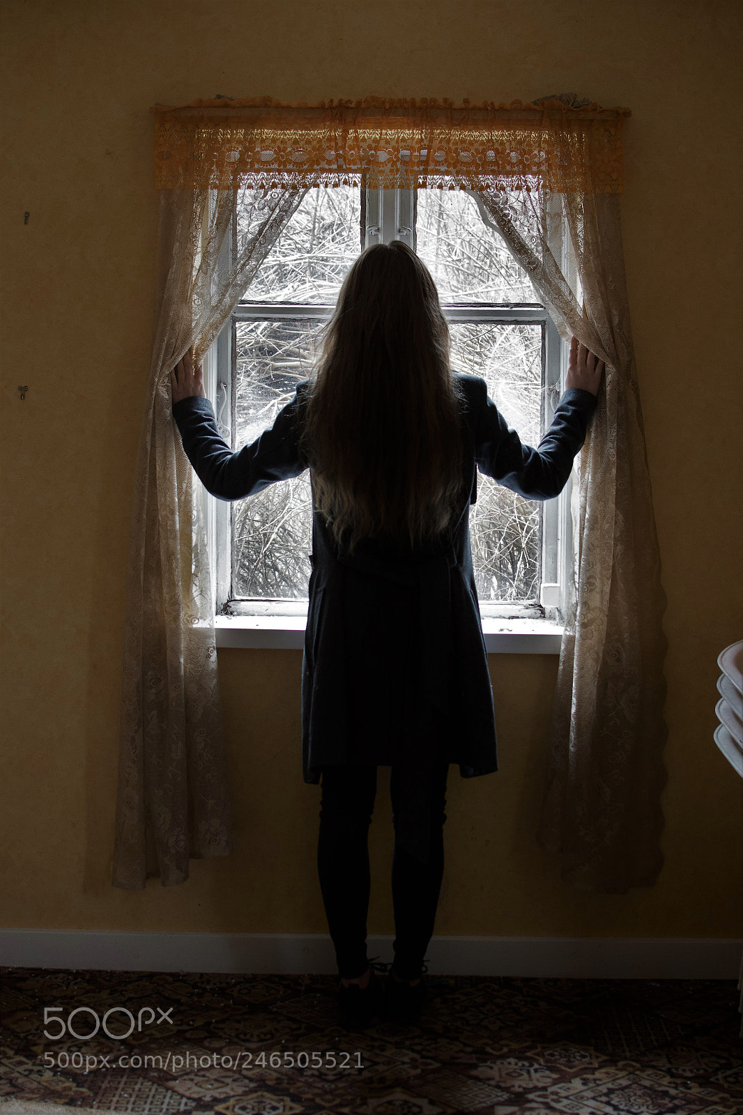 Nikon D500 sample photo. Haunted house... photography