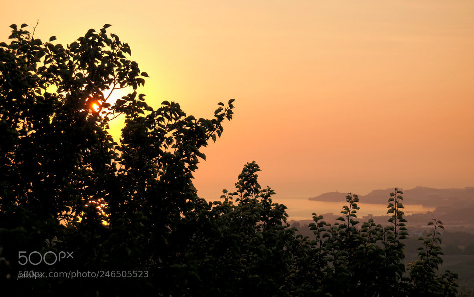 Samsung NX30 sample photo. ... photography