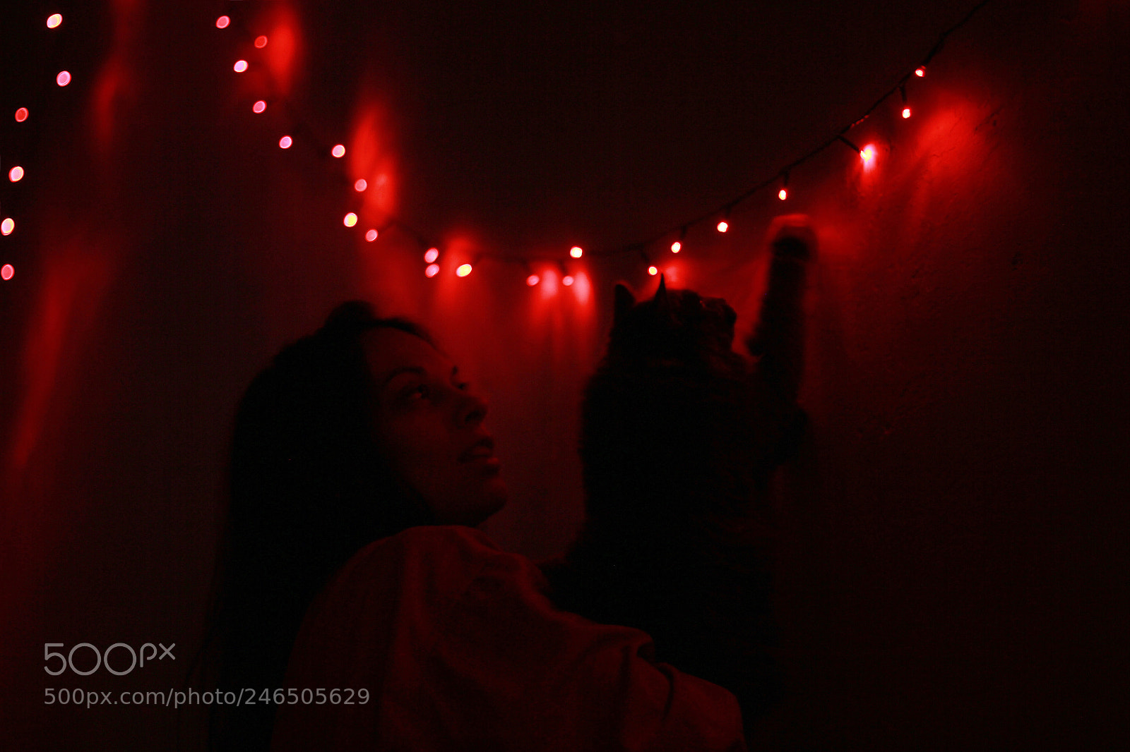 Canon EOS 60D sample photo. Untitled photography