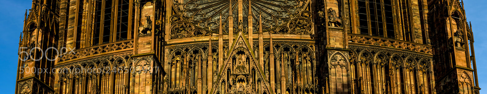 Nikon D500 sample photo. Strasbourg cathedral - fassade photography