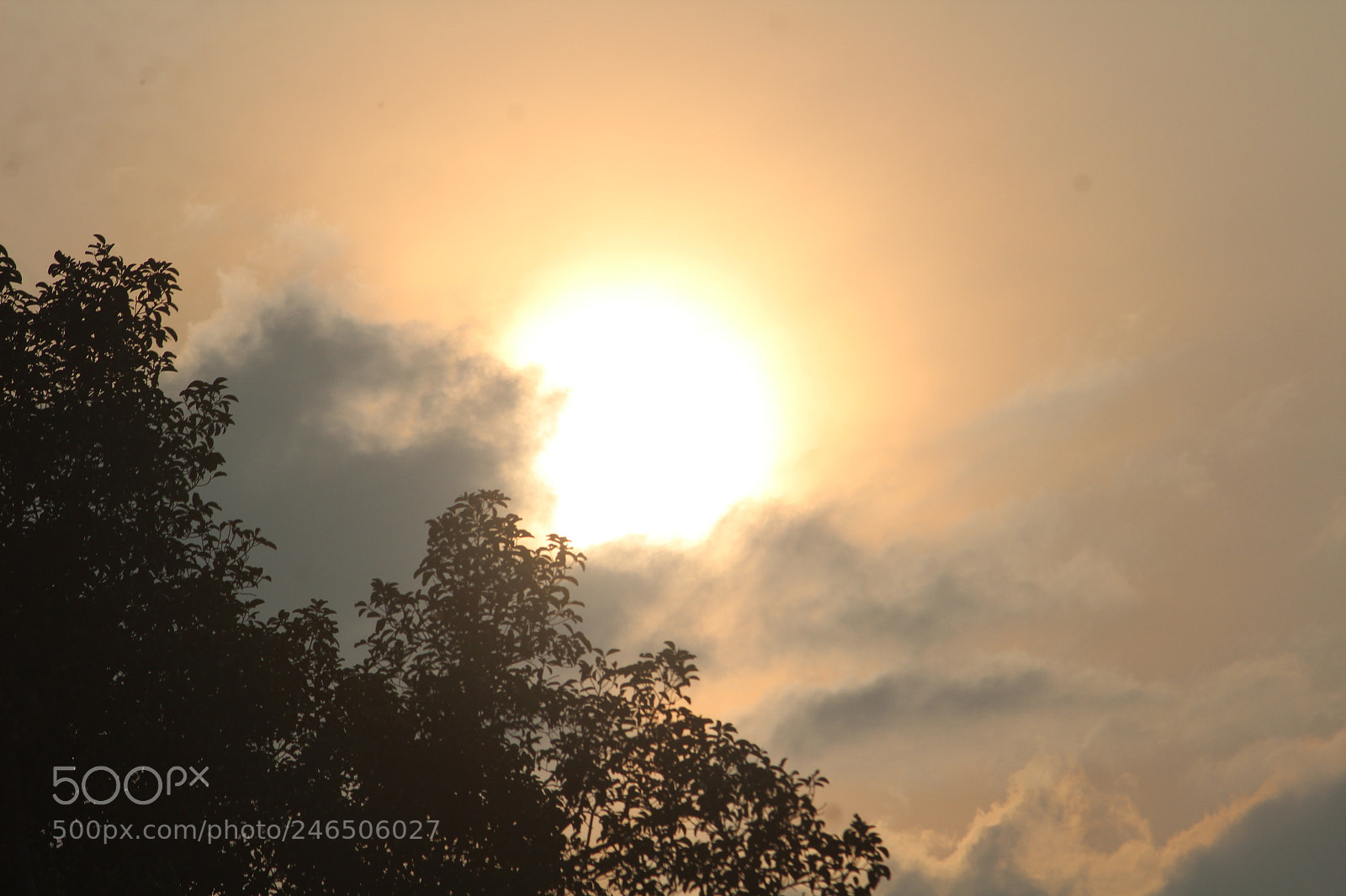 Canon EF-S 55-250mm F4-5.6 IS II sample photo. Untitled photography