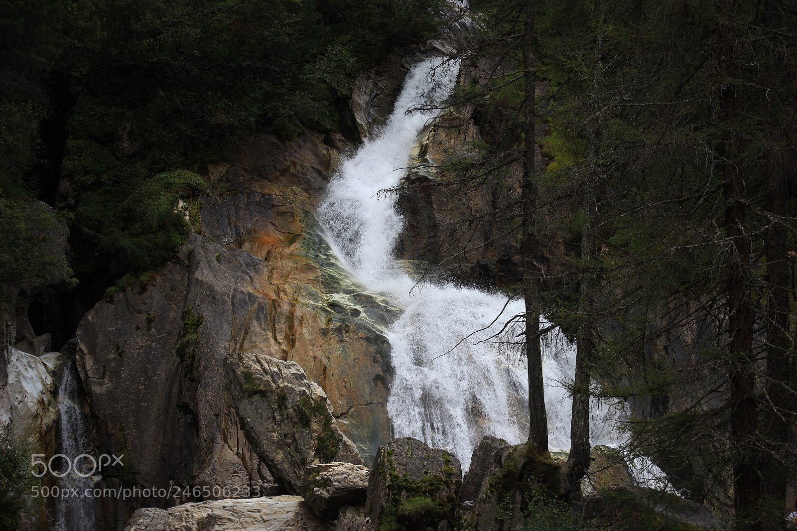 Canon EOS 600D (Rebel EOS T3i / EOS Kiss X5) sample photo. In to the woods photography
