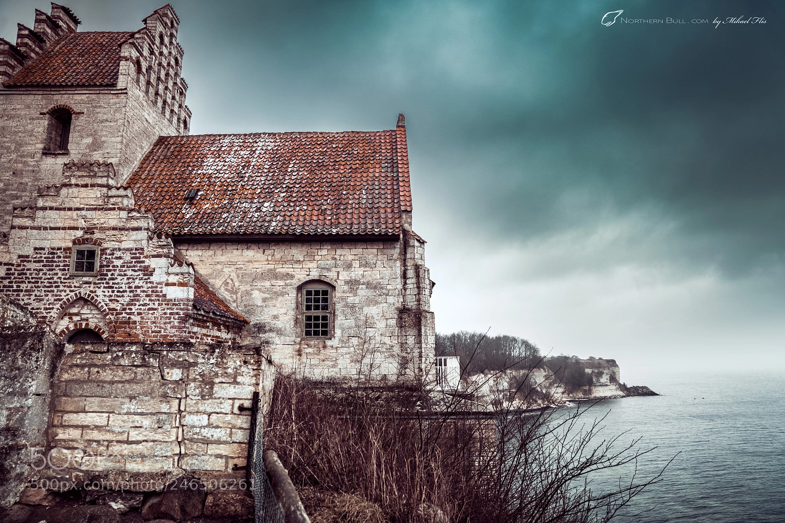 Sony a7R II sample photo. Hanging on. photography