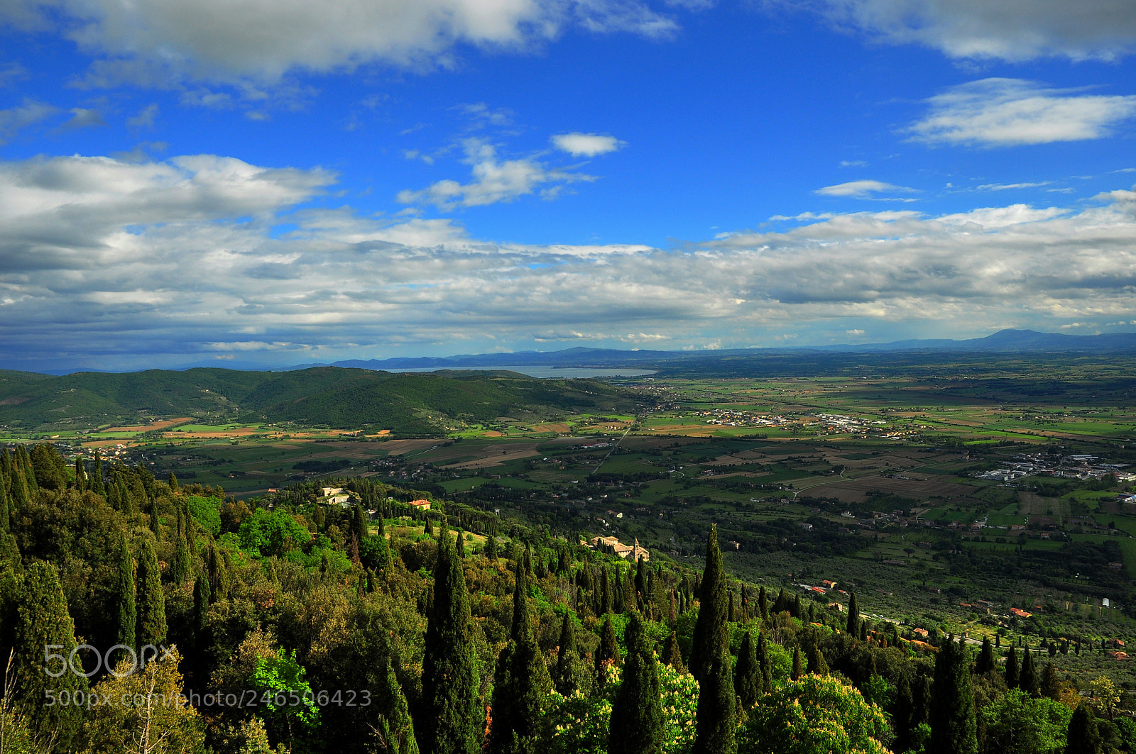 Nikon D90 sample photo. It's all toscana photography