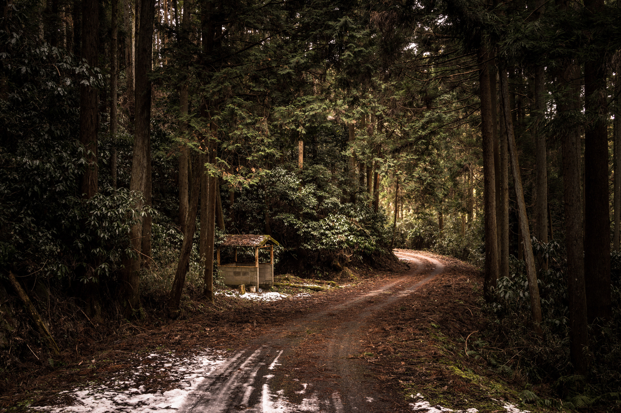 Sony Cyber-shot DSC-RX1R sample photo. The road where snow remains photography