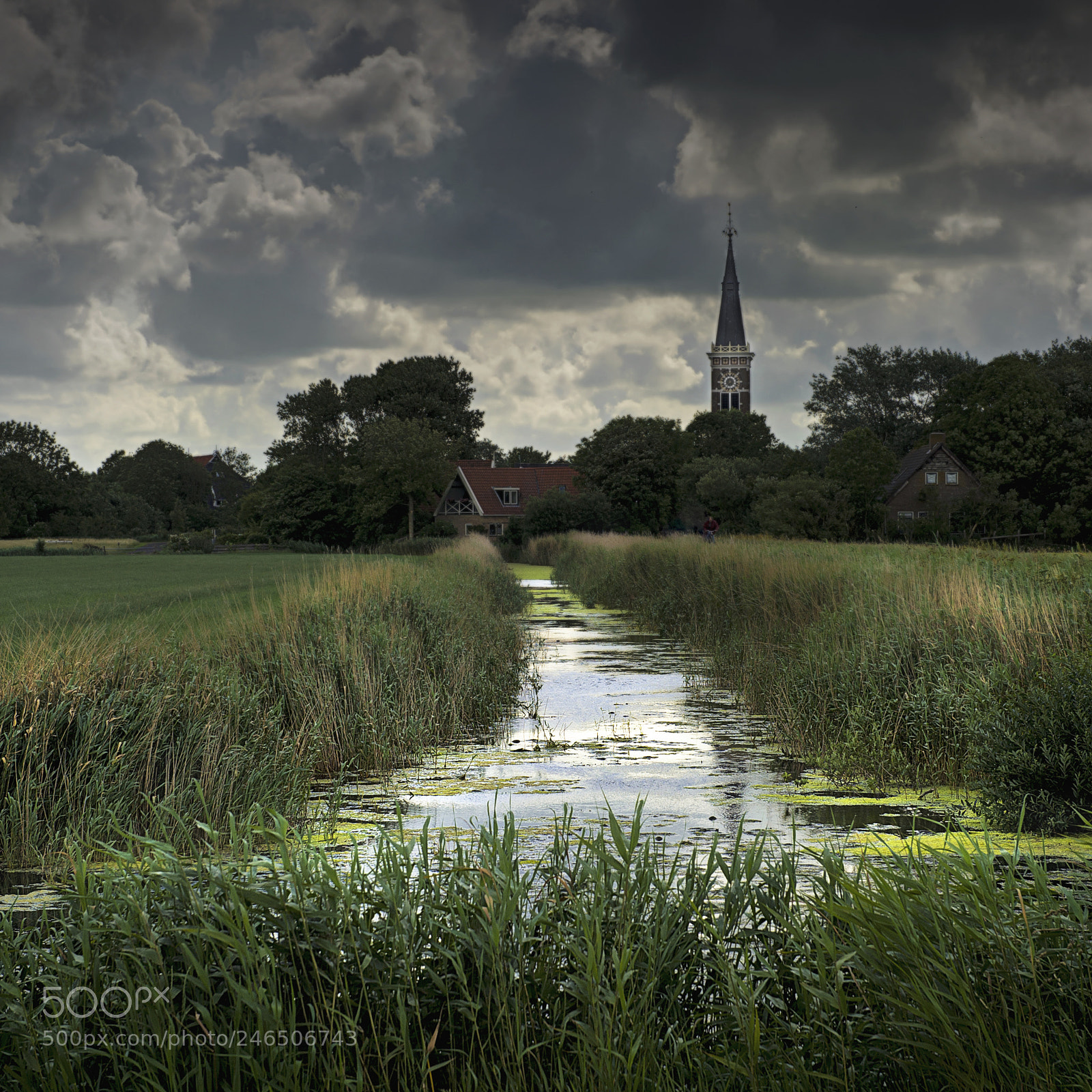 Nikon D3S sample photo. Dutch landscape photography