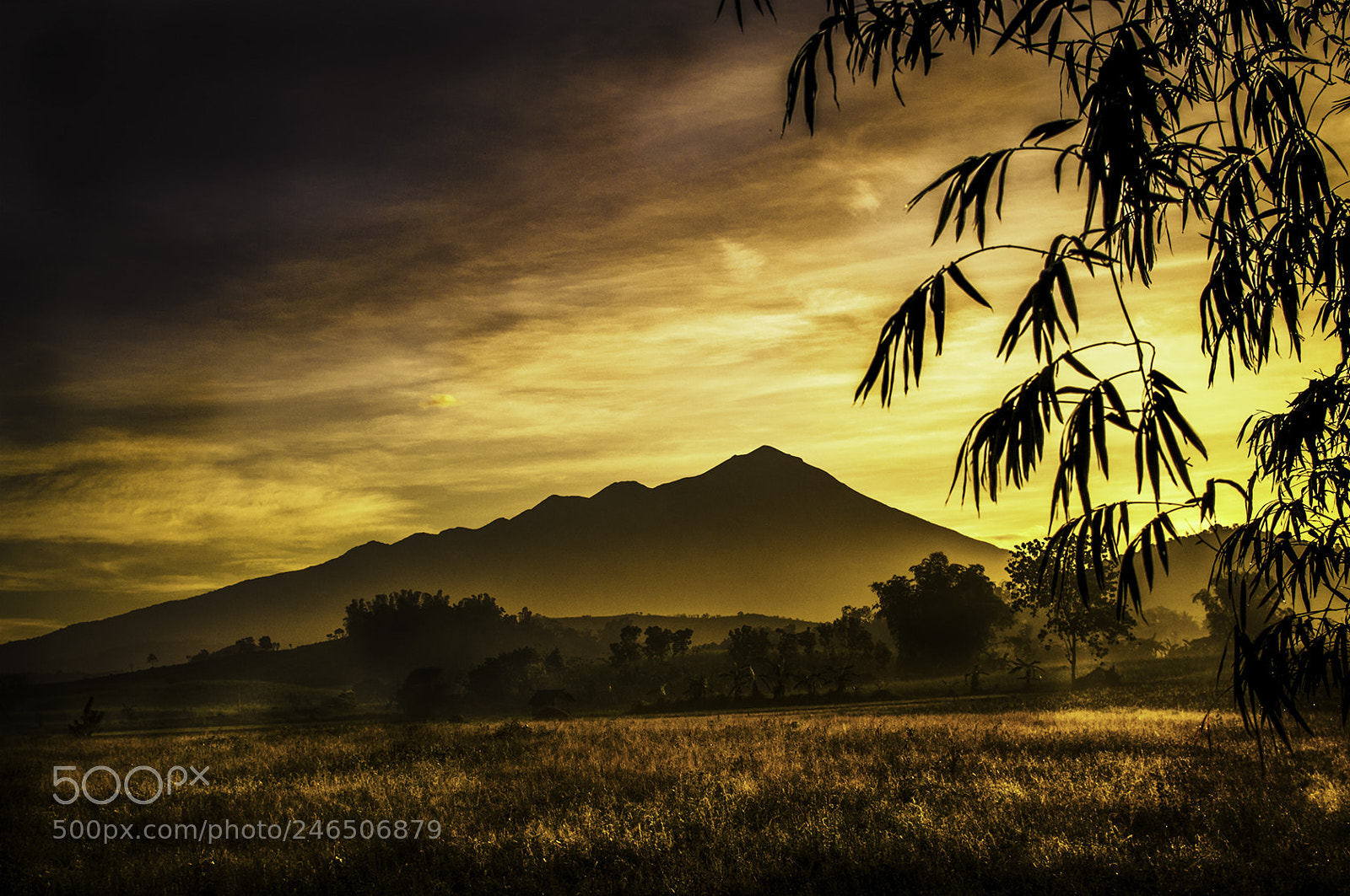 Nikon D90 sample photo. Canla-on mountain photography