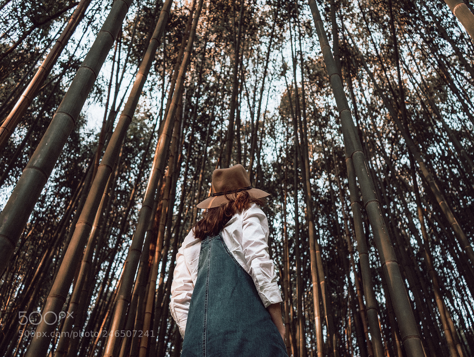Sony a7 II sample photo. Lift photography