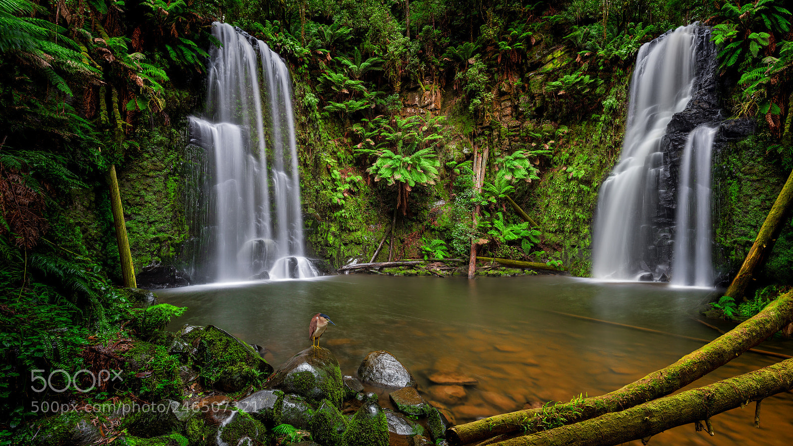 Canon EOS 5DS R sample photo. The falls photography