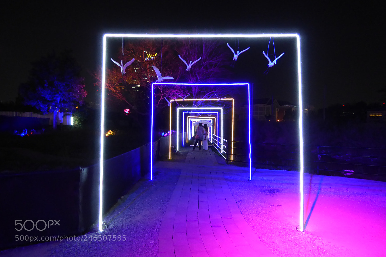 Panasonic Lumix DMC-ZS50 (Lumix DMC-TZ70) sample photo. Welcome to the neon photography