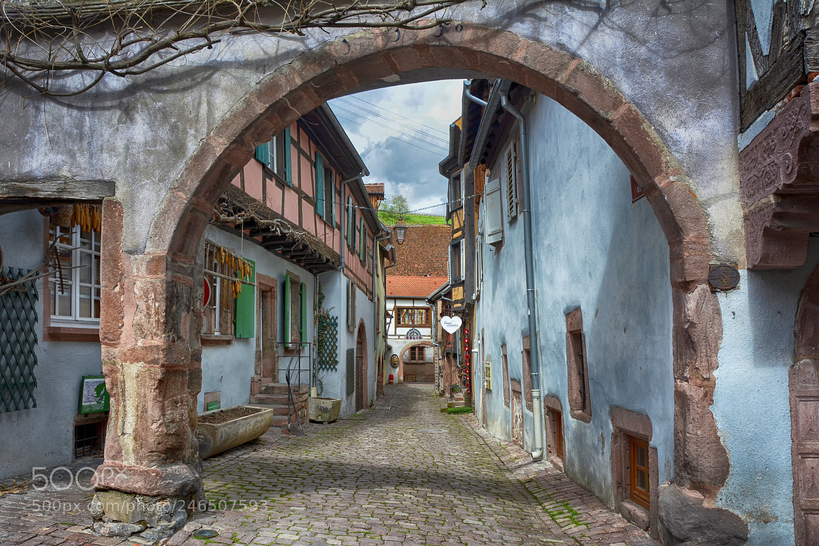 Nikon D7100 sample photo. Picturesque alsation riquewihr photography