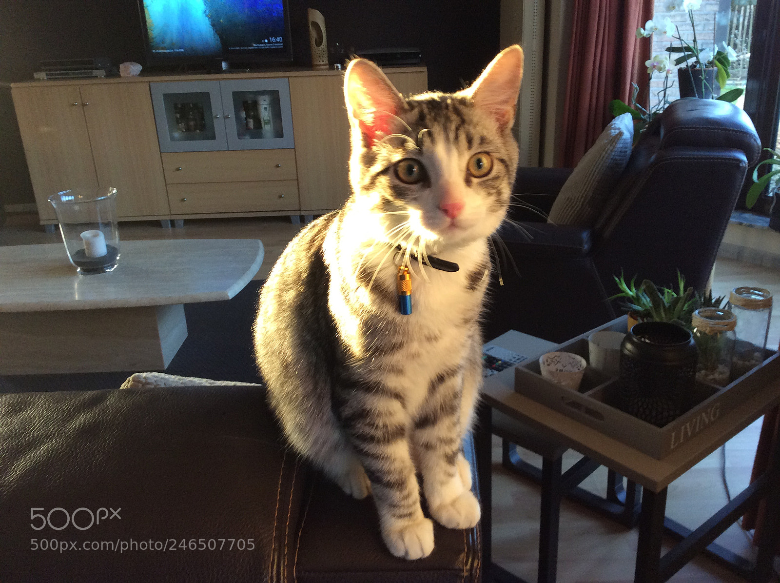 Apple iPad Air sample photo. Untitled photography