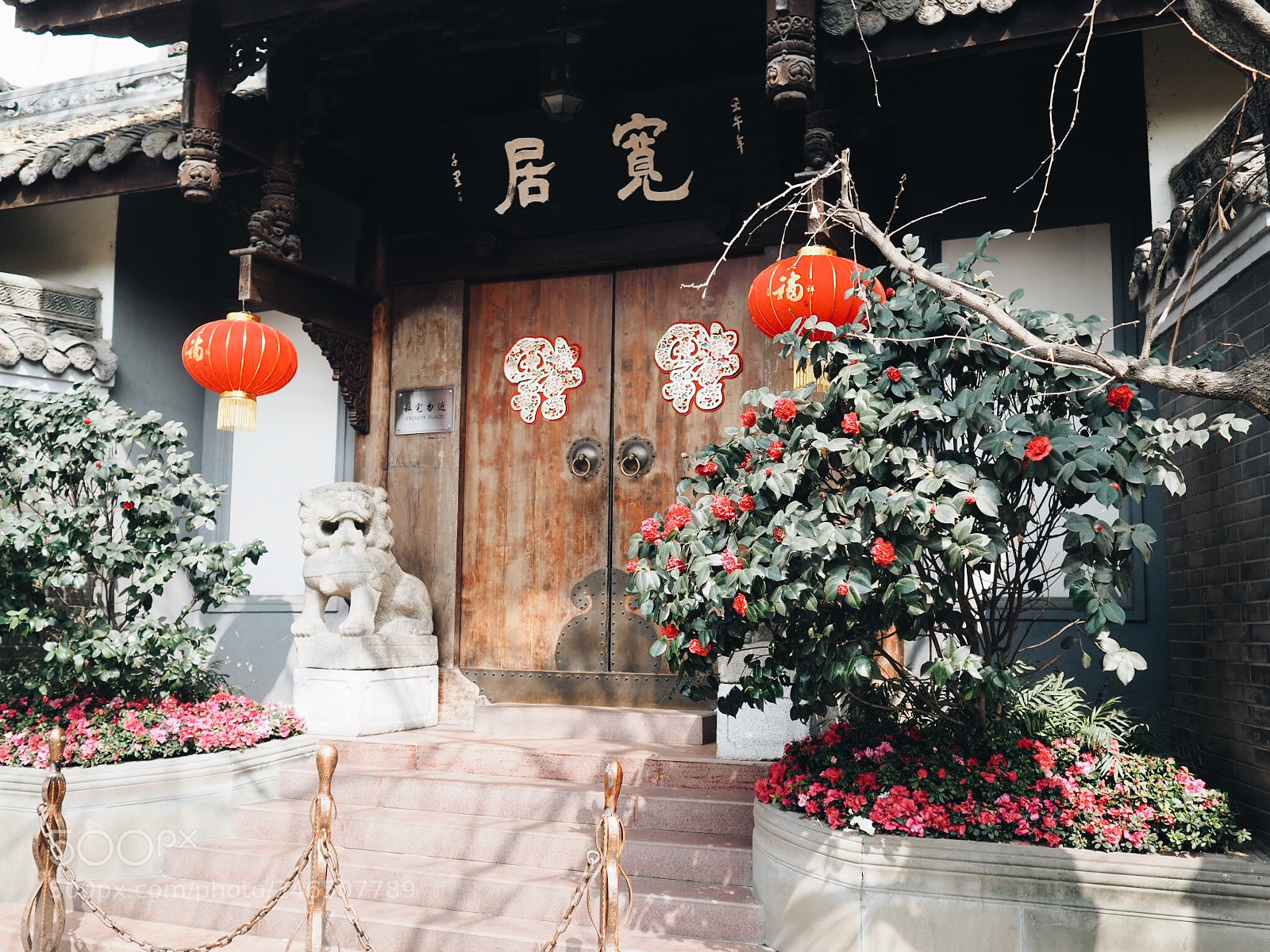 Olympus OM-D E-M5 II sample photo. Untitled photography