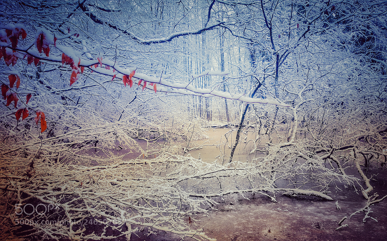 Samsung Galaxy S6 sample photo. Winter wonderland photography