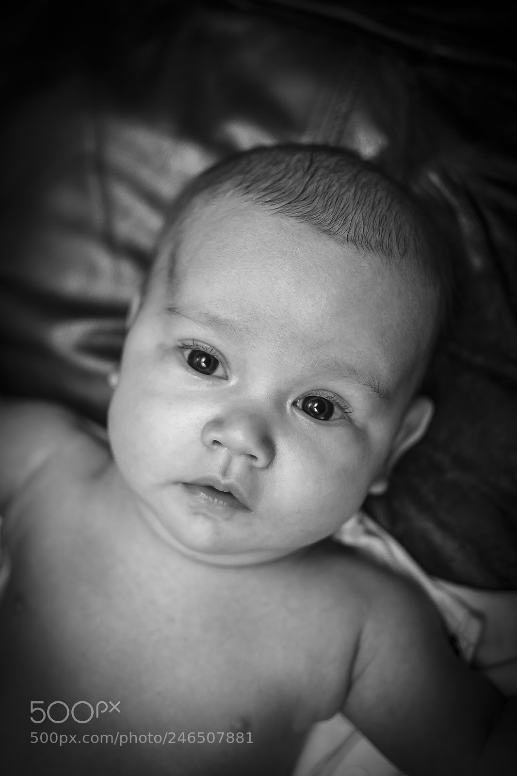 Nikon D7100 sample photo. Jakey boy photography