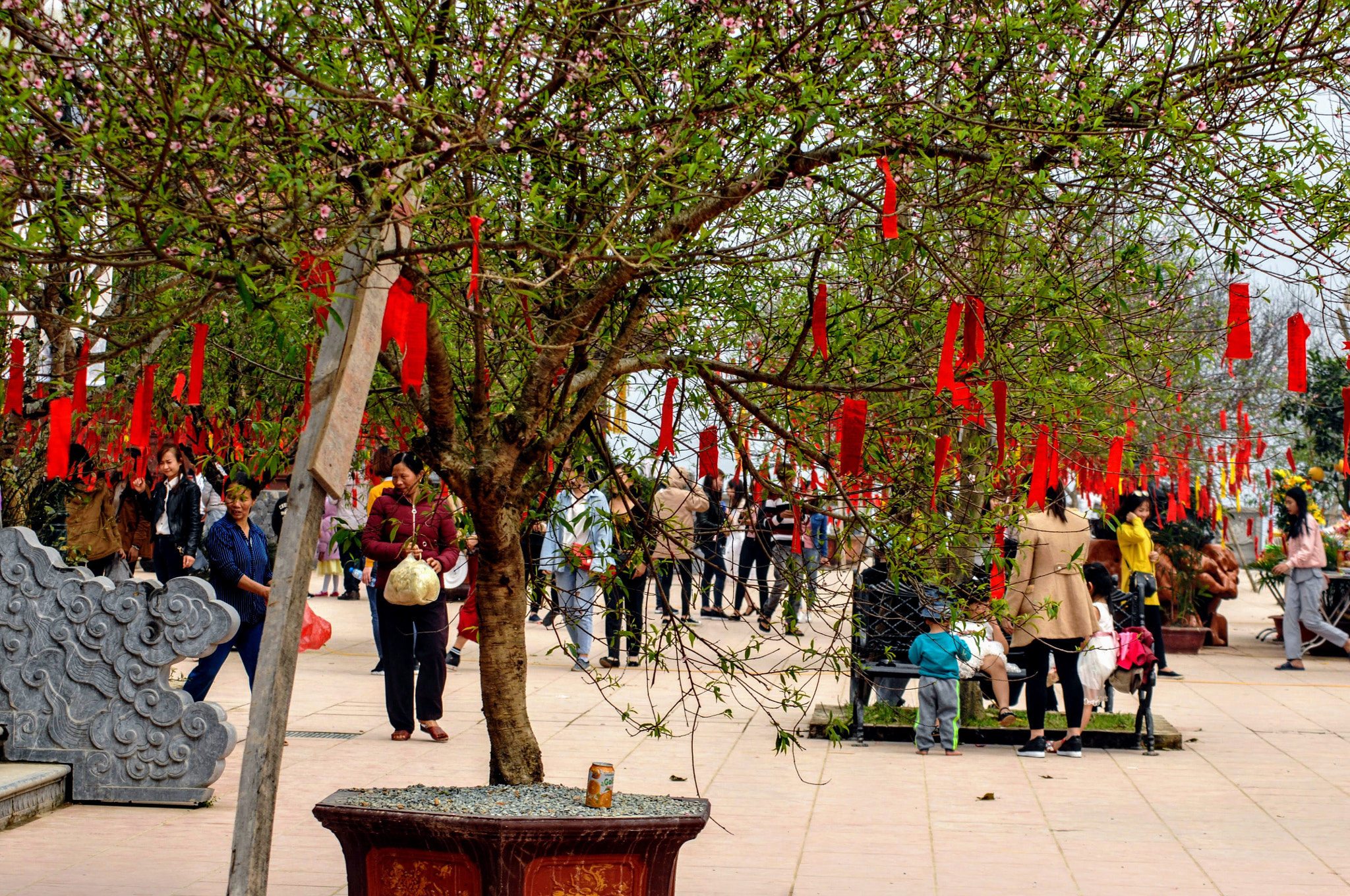 Nikon D2Xs sample photo. Vietnam photography